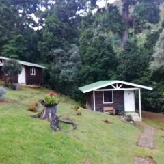 Miriam'S Quetzals lodge