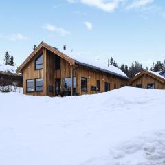Beautiful Home In Rauland With Sauna, Wifi And 4 Bedrooms