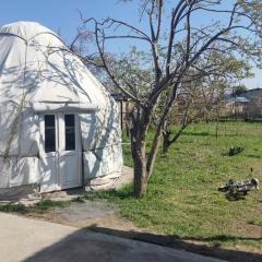 Yurt stay in downtown