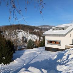 Studio Vista 1 by Interhome