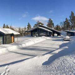 Lovely Home In Geilo With Kitchen