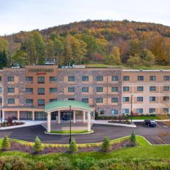 Courtyard by Marriott Oneonta