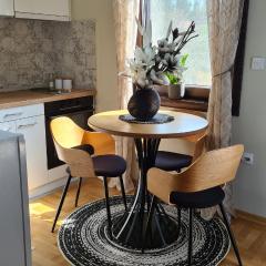 MS Apartman