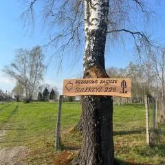 Brzozowe zacisze