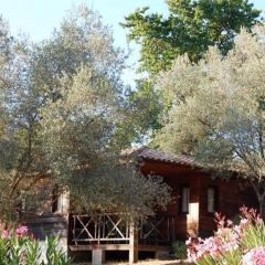 Gites Chalets de Grosseto-Prugna