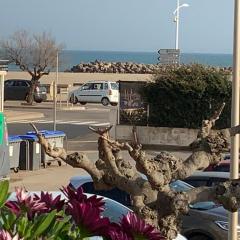 Villa Magaly T3 à 50 m de la plage Valras centre