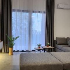 Solar Rooms and Apartments