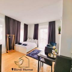 Bird Home Room 10