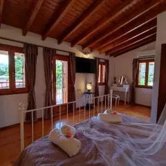 Nikόla's House