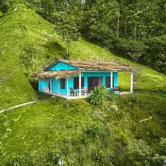 Rainforest Lodge Playa Jaguar Hillside Azul