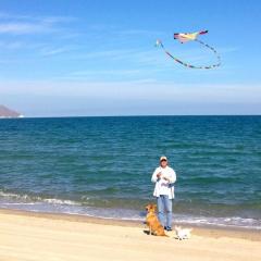 Amazing beach side, Luis Margarita villa