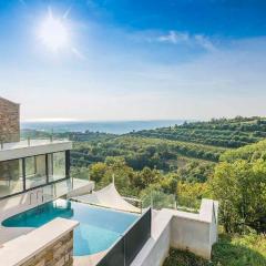 Luxurious villa with stunning view in Buje