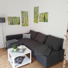 NEU Apartment am Birkenfeld Allgäu Kaufbeuren