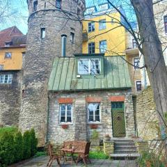 Cozy Old Town Historic House