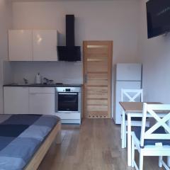 Apartament Klimt 1