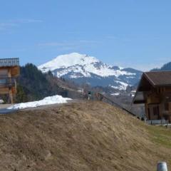 T1 Proche Grand Bornand Et Lac