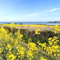 le Ti'Nid - Gîte de charme - Vue Mer