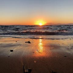 Octopus house 1 min from the beach of Nikiti