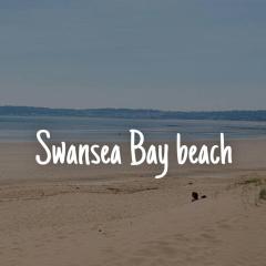 Large home Swansea