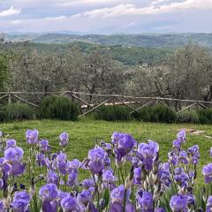 Il Fiorino di Badia