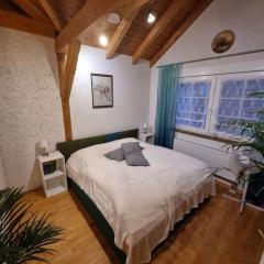 Gemütliche Dachgeschosswohnung