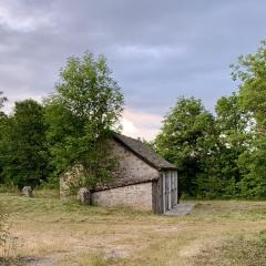 Beautiful little house renovated in nature