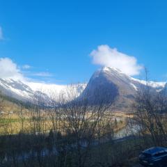 Fjærland Våteviksvegen 17