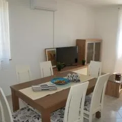 Apartments Brko