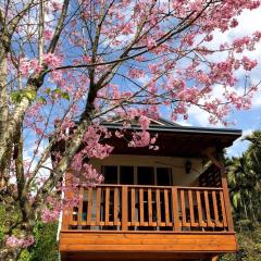 Cabin of Sun Moon Lake