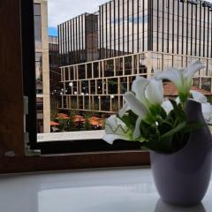 Central Palace Iași Apart 2