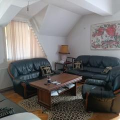 Vranje City Center, Penthouse Delux Apartment