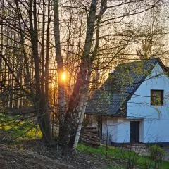 Wysoka Trawa Gruszków