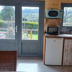 The Stunning Log House