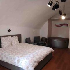 LOFT avec Jacuzzi centre ville Aubenas