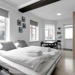 Cozy 2 Bedroom Apartment in Central Reykavik