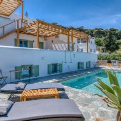 Magic Villa With Swimming Pool in Paros