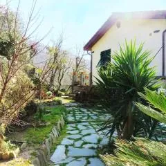 casa di arya CODICE CITRA LT-0043