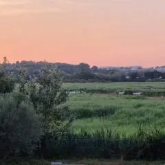 Gîtes de l'Estagnol