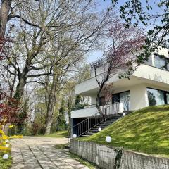 Porsche Villa mit Garten und Garage in Bestlage von Döbling in Wien