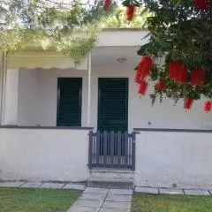 Ibiscus Beach Village