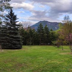 Mobil home sur grand terrain clôturé et arboré