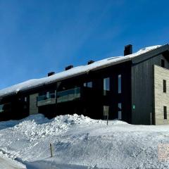 New apartment Hafjelltoppen ski inout