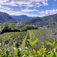 Agriturismo Tenuta La Fratta