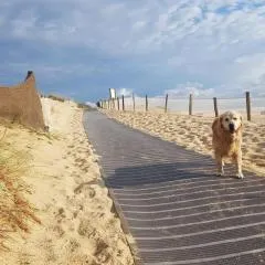 Cocooning et plages