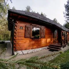Domek na Świerkowej Roztocze