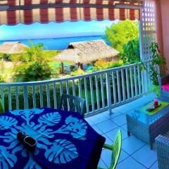 Superbe bord de mer, accès lagon et piscine privée