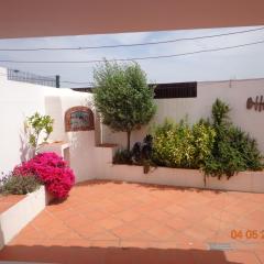 Vivenda com jardim no campo a 350 do Mar