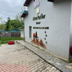 Golden Paws Guesthouse