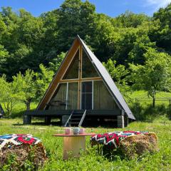 Cabane A-Frame Svinița