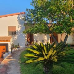 Villa Rita Apartament & Rooms